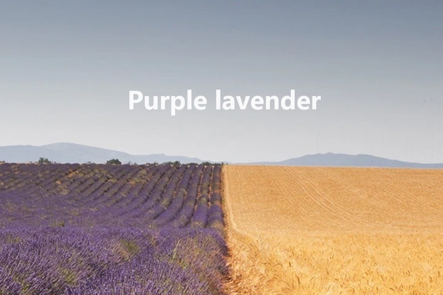 Purplelavender啫喱，輕盈造型，打造男士自信風(fēng)采每一天